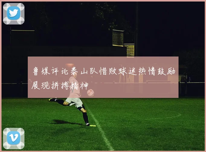 鲁媒评论泰山队惜败球迷热情鼓励展现拼搏精神